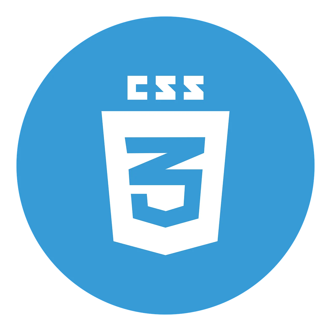 The CSS Logo