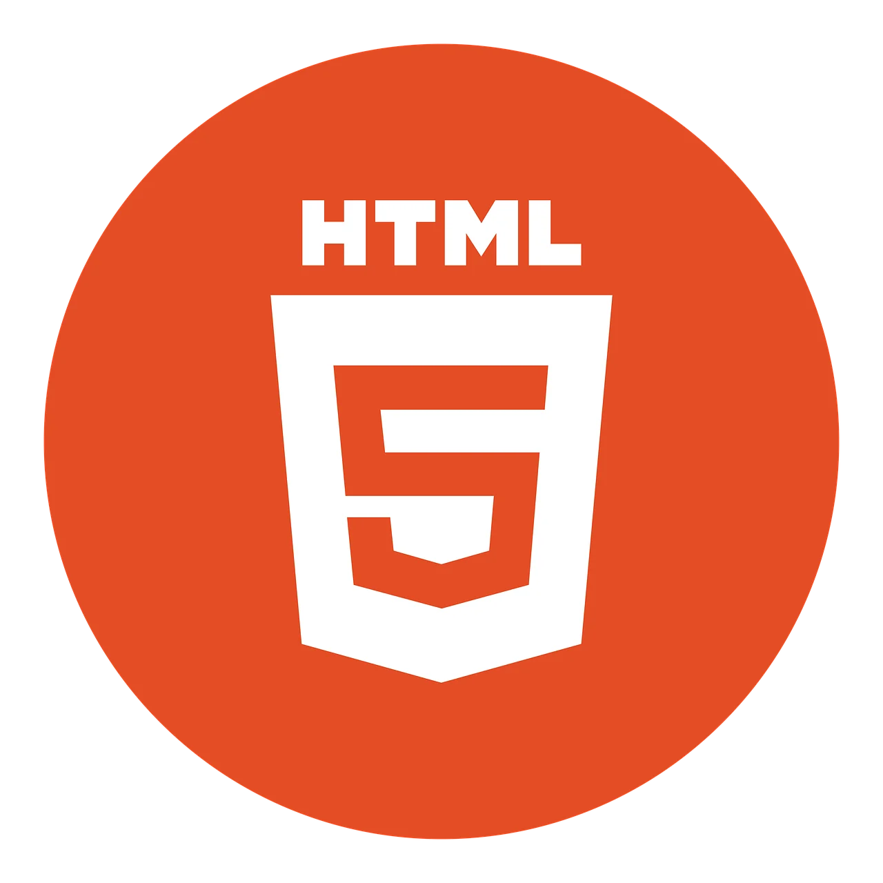 The CSS Logo