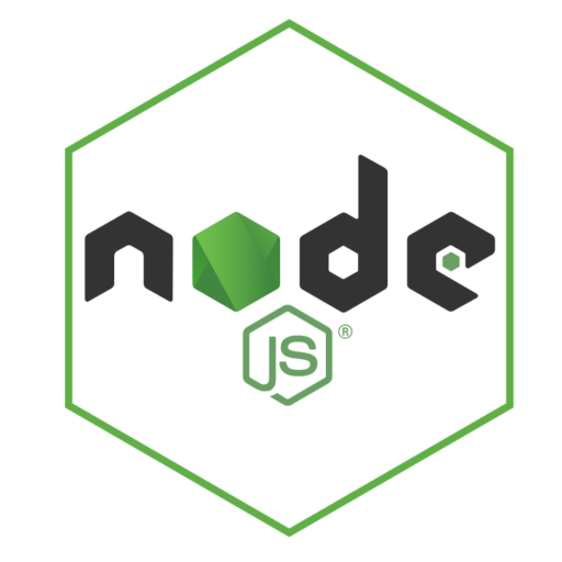 The CSS Logo