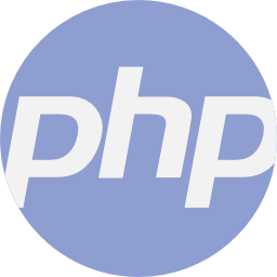 The CSS Logo