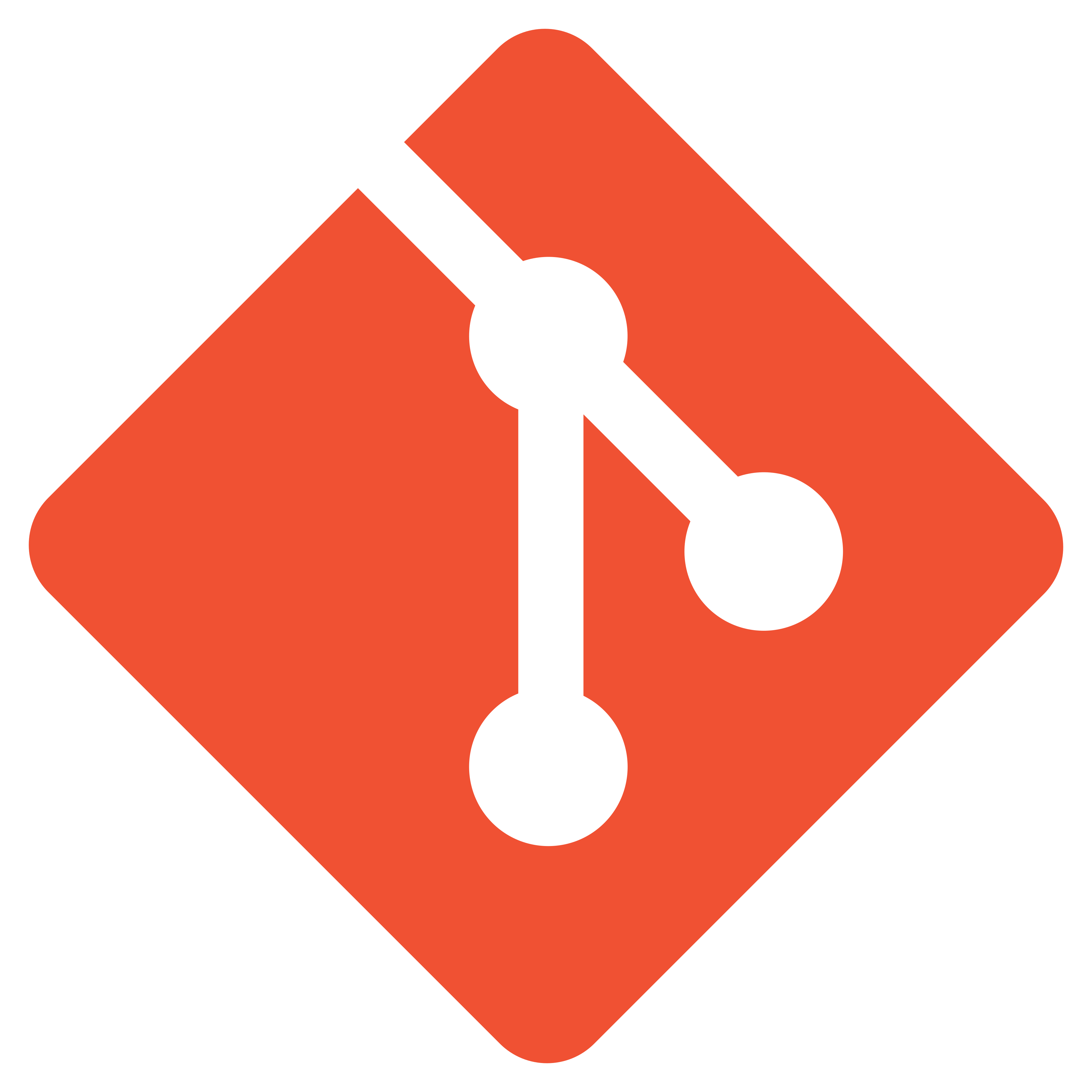 The CSS Logo