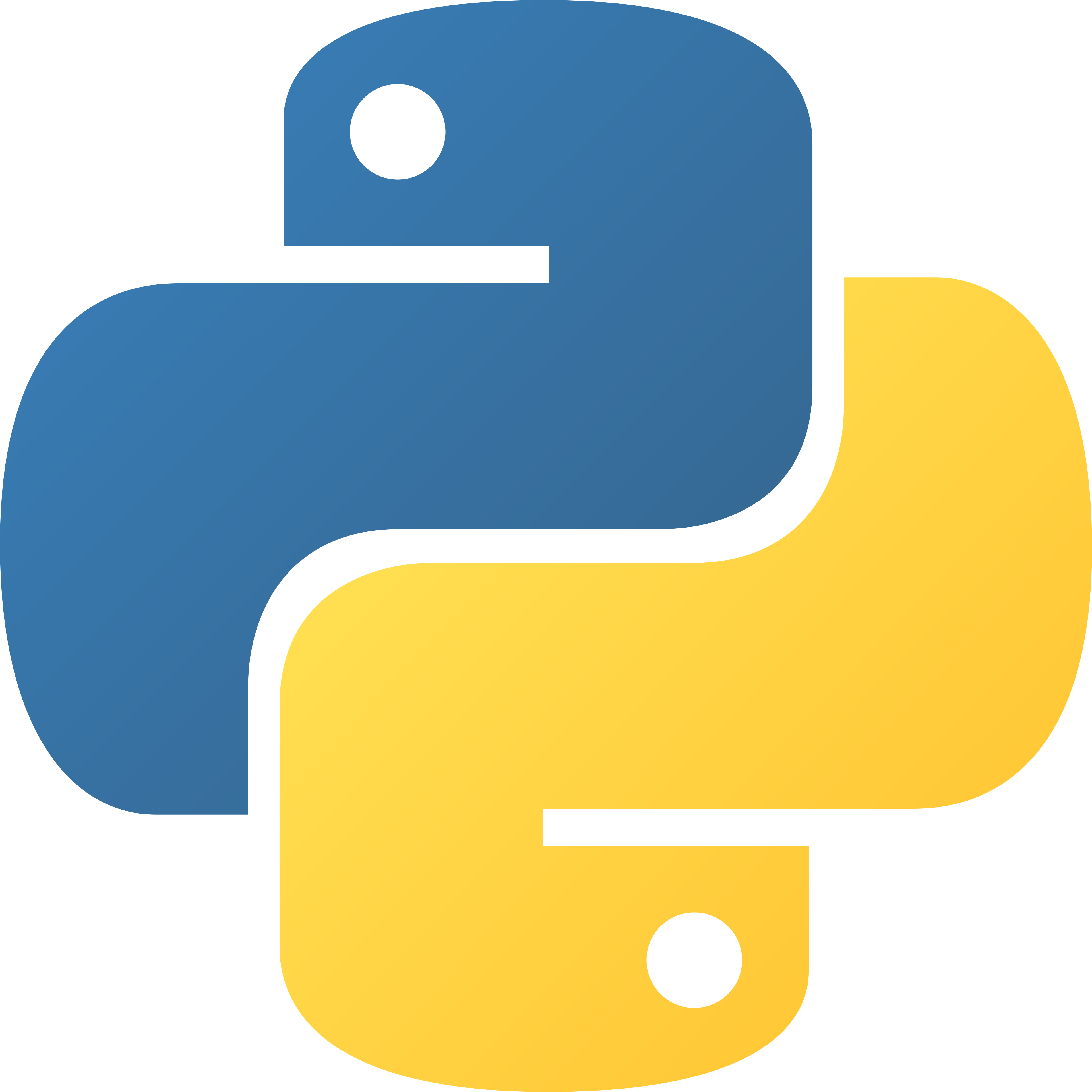The CSS Logo